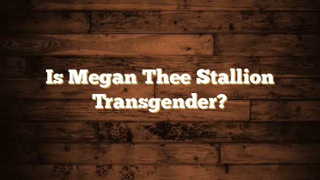 Is Megan Thee Stallion Transgender?