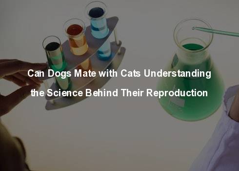 can dogs mate with cats understanding the science behind their reproduction